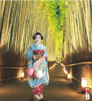 舞妓カレンダー