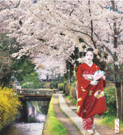 舞妓カレンダー