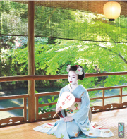舞妓カレンダー