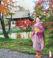 舞妓カレンダー