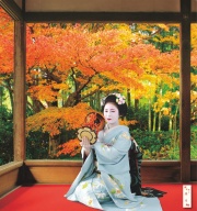 舞妓カレンダー