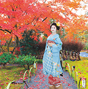舞妓カレンダー