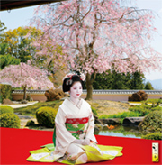 舞妓カレンダー