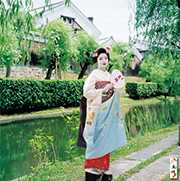 舞妓カレンダー