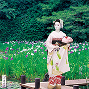 舞妓カレンダー