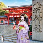 �񵸥�������